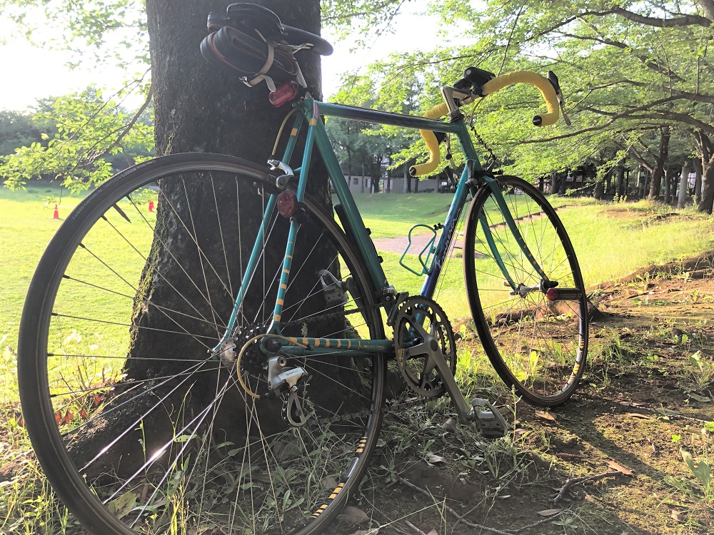 ロードバイク公園で木にたてかける